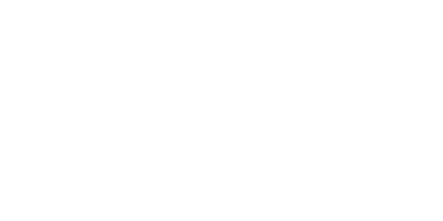 SHEVELIZM